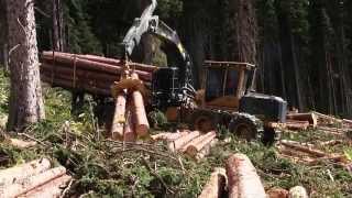 Forwarder Tigercat 1085B with Low Wide [upl. by Esli]