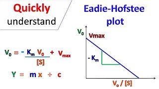 Eadie Hofstee Plot [upl. by Erej]