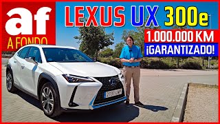 Lexus UX 300e  Garantizado por 1000000 km [upl. by Nomde389]