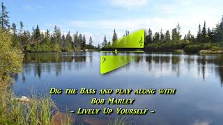 Bob Marley  Lively Up Yourself Original Recording BASS PlayAlong [upl. by Eiddal]