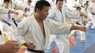 CompressionExpansion and Jiyu Ippon Kumite by Mikio Yahara Seminar in Moscow 2009 part 3 [upl. by Sibbie]