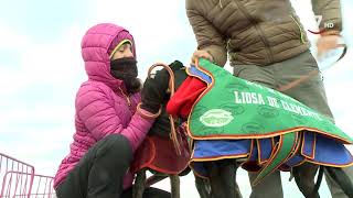 Campeonato de España de Galgos 2020  Octavos de final [upl. by Zavala441]