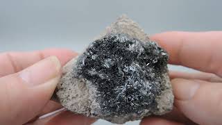 Pyrolusite from Germany – miniature [upl. by Erodroeht147]