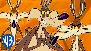 Looney Tunes  Wile E Coyote Genius Extraordinaire  30 Minutes [upl. by Lachus]