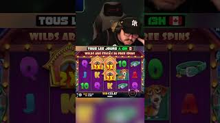 Wouf Wouf Wouf 🐕 doghouse slots casino OnlineCasino celsius pourtoi fyp viral casinogames [upl. by Yecaw]