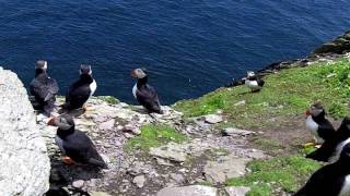 A Journey to Skellig Michael During Puffin Season [upl. by Kciv943]