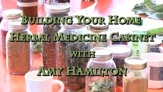 Building Your Home Herbal Medicine Cabinet with Amy Hamilton [upl. by Reeves562]