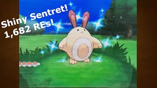 LIVE 2nd Shiny Sentret after 1682 REs Phase 2 for Honedge Pokémon X and Y [upl. by Luapnaej79]