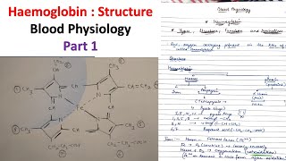 Haemoglobin Structure and its function Blood Physiology part 1 Haemoglobin Structure Function [upl. by Erasaec]