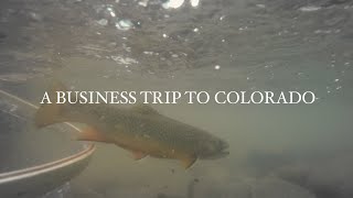 A Business Trip to Colorado Dry Fly Fishing Camping amp Film Photography [upl. by Nabala]