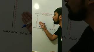 Overview Of Glycogenesis Glycogenolysis Glyconeogenesis Gluconeogenesis biochemistry dadhichsir [upl. by Sitruc]