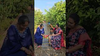 Dragon fruits harvesting with Anu akka dragonfruit mygarden harvesting shortvideo ytshorts [upl. by Aryan]