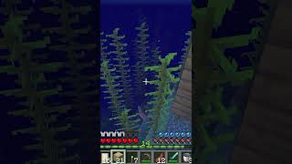 This Oceanic Explorer Needs Some Milk minecraft minecraftgameplay minecraftsurvival gaming [upl. by Moscow147]