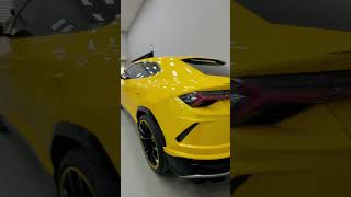 Lamborghini Urus done Ppf foilx habibi newsong remix malik foryou money 💛💛💛🔥🌻💛 [upl. by Adnaw]