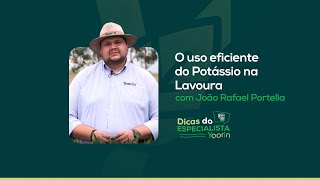 Produtor descubra os Segredos do Potássio em sua Lavoura [upl. by Okajima]