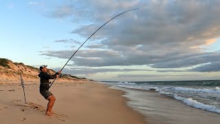 Solo Beach Fishing 3 Top Fish In One Session CATCH and COOK [upl. by Yrbua]