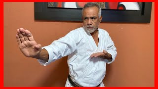 GOLPEOS Y BLOQUEOS CON MANO ABIERTA TUTORIAL  ARTES MARCIALES [upl. by Atiuqihc]