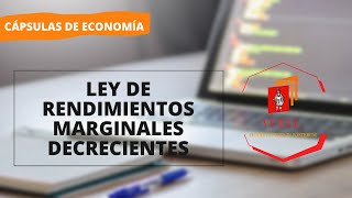 LEY DE RENDIMIENTO MARGINALES DECRECIENTES  CÁPSULAS ECONÓMICAS [upl. by Pillsbury640]