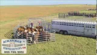 WW Express Portable Cattle Corral [upl. by Dnomayd469]