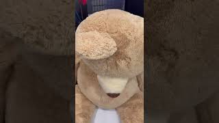 Mom and dad catch giant teddy bear moving by itself then this happens shorts [upl. by Yllen]