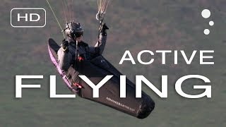 Paraglider Control How To Improve Your Active Flying [upl. by Theresita]