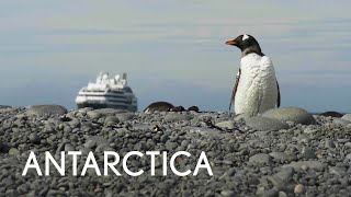 Tauck  Small Ship Cruising  Antarctica [upl. by Atik]