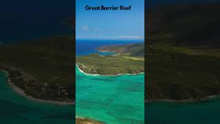 Great Barrier Reef in Australia short [upl. by Nilhsa]