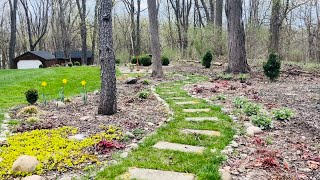 Spring Garden Tour in April Heuchera Brunnera Daffodils Hosta Hellebore and more popping up [upl. by Mata363]