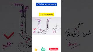 electrophoresis cataphoresis anaphoresis surface chemistry nkshortschemistry NEET JEE shorts [upl. by Elrebmik]