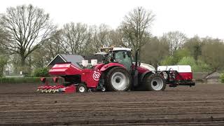 AARDAPPELS POTEN MET EEN STEYR 4135 CVT MIEDEMA CP 42 [upl. by Eido]