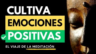 🧘 Descubre el Poder de la Meditación Reduce el Estrés Mejora la Salud y Aumenta la Paz Interior [upl. by Millur]