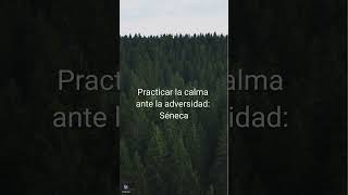 Descubre el Secreto de Séneca para Encontrar la Serenidad en la Adversidad [upl. by Antonia]