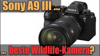 Sony Alpha9III oder doch A1 oder lieber A7rV [upl. by Enait489]