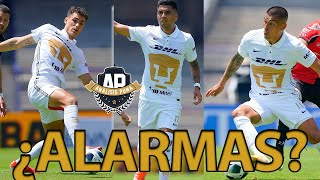 ¿PROBLEMAS EN PUMAS  HABLEMOS DE PUMAS [upl. by Laup652]