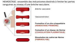 Hemato 08La physiologie de l’hémostase Dr Abbadi [upl. by Inohs]