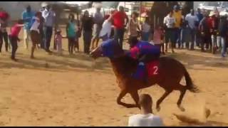 Namibian Horse Racing Black Market won 1800 m in Gobabis [upl. by Helgeson]