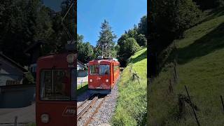 APPENZELLER BAHNEN Zug der Zahnradbahn RheineckWalzenhausen treno a cremagliera train tren [upl. by Tak]