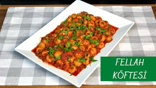 Fellah Köftesi  Fellah Kofte Recipe Kofte with Bulgur [upl. by Nylyaj]