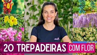 20 TREPADEIRAS com FLOR para seu JARDIM [upl. by Dalohcin]