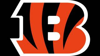 Cincinnati Bengals Fight Song [upl. by Sucramel]