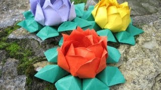 Origami ❀ Water Lily ❀  modular [upl. by Horn]