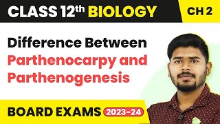 Difference Between Parthenocarpy and Parthenogenesis  Sexual Reproduction in Flowering  Class 12 [upl. by Dorsey]