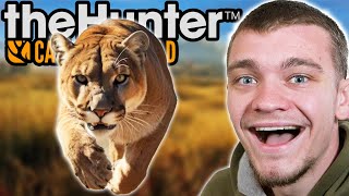 Hunting down a Diamond Mountain Lion [upl. by Ssew]