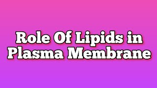 Role of Lipids in Plasma Membrane  Lipids  Phospholipids  Cholesterol  Cell Membrane  Cytology [upl. by Bradman]