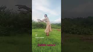 Gulabi sarara short video  sushana tudu [upl. by Fidelity]