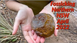 Fossicking in Northern NSW April 2022 [upl. by Marinelli]