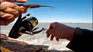 Insane Action at Boca Chica TX Jetties [upl. by Litman534]