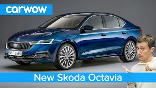 AllNew Skoda Octavia 2020  is this the best value car in the world EVER [upl. by Mulac]