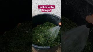 3 Möglichkeiten Rasenschnitt im Garten sinnvoll zu nutzen [upl. by Donna720]