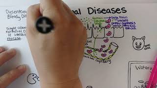 Diarrheal Diseases Part 1 [upl. by Filmore]